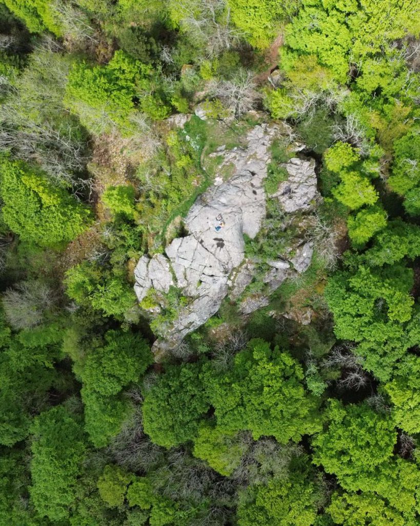 Vue aérienne d'un affleurement rocheux clair au cœur d'une forêt verdoyante
